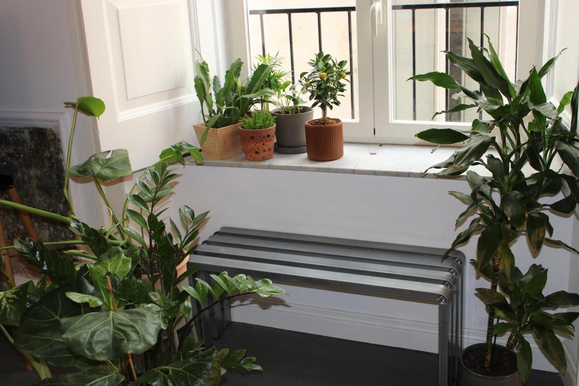 "Leoapartment" - Historic City Center District Napoli Exterior foto